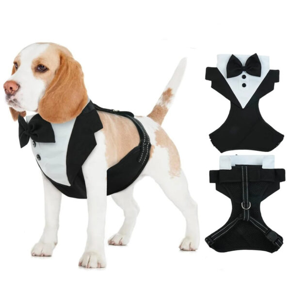 ARNÉS SMOKING PARA PERROS PARA BODAS Y EVENTOS