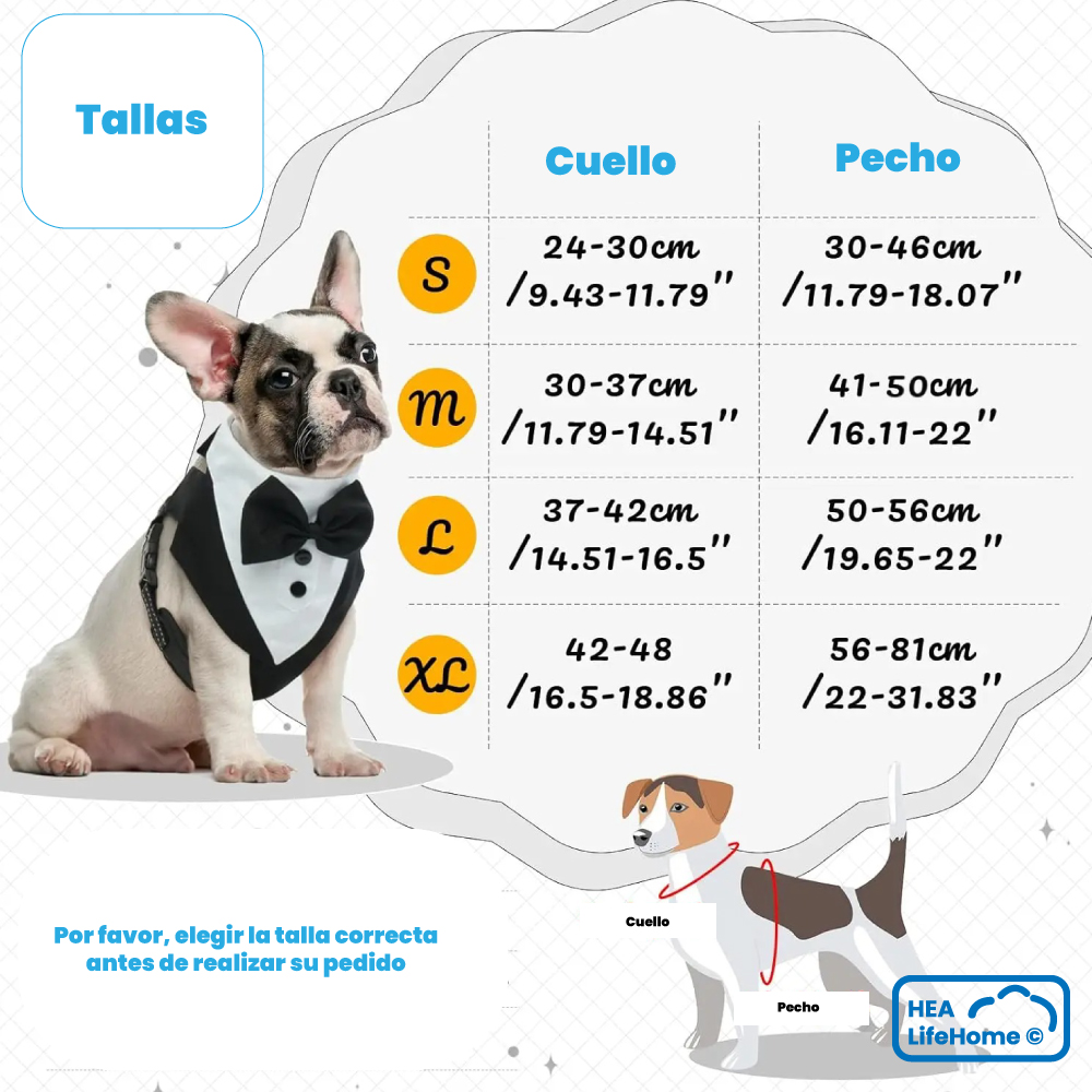Arnés Smoking para Perros - Imagen 9