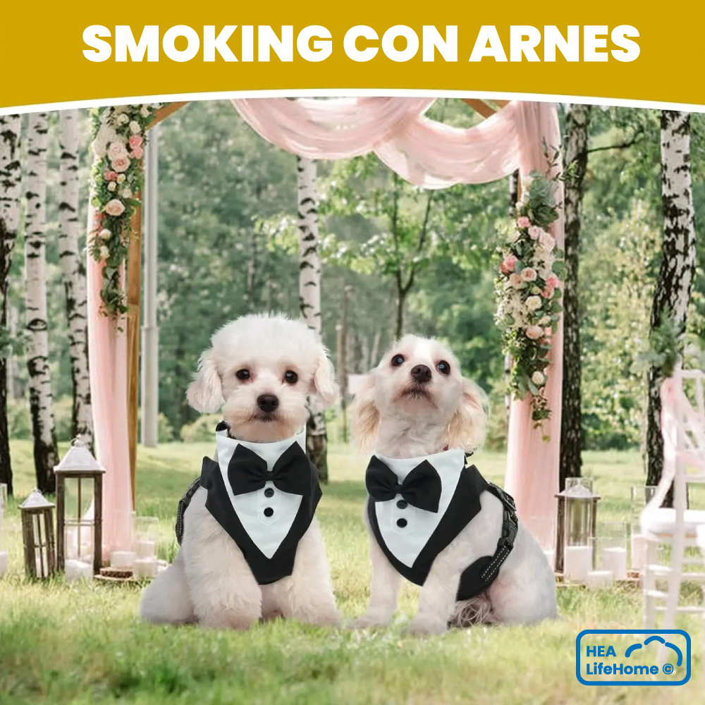 Arnés Smoking para Perros - Imagen 6