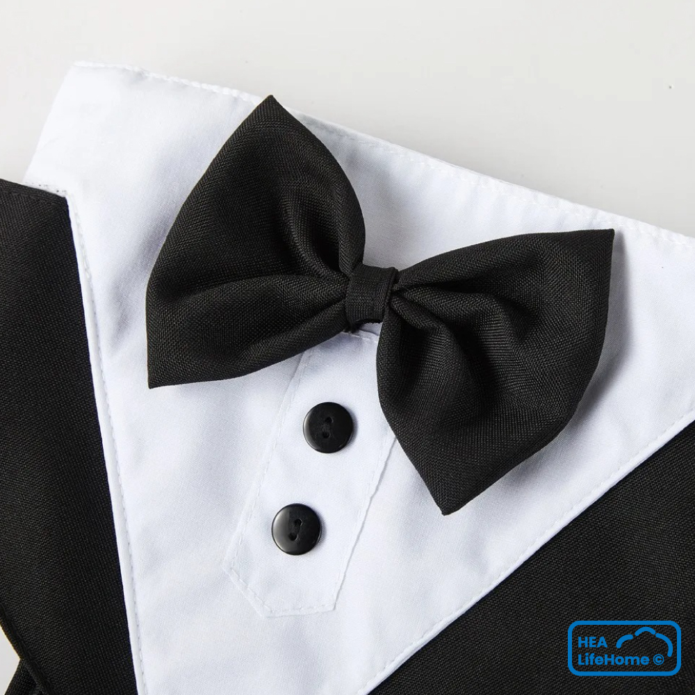 Arnés Smoking para Perros - Imagen 4