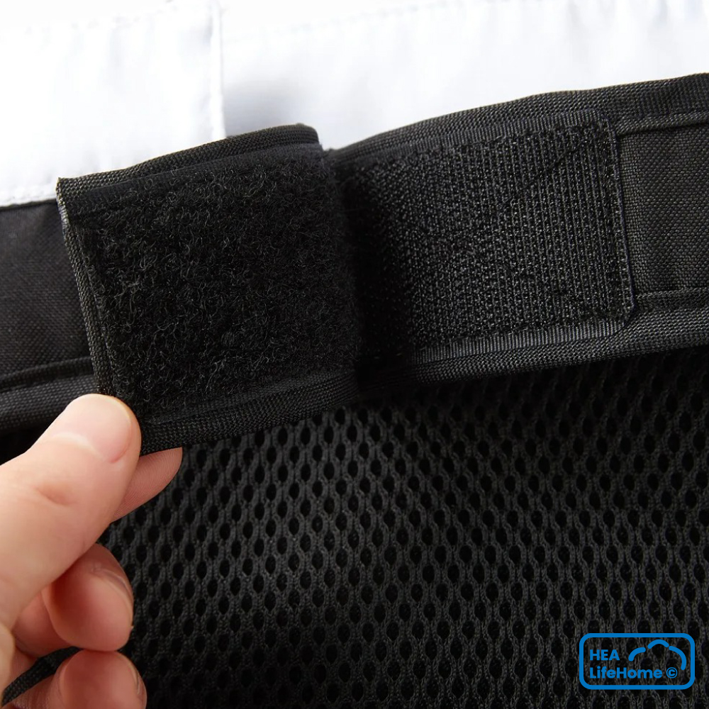 Arnés Smoking para Perros - Imagen 3