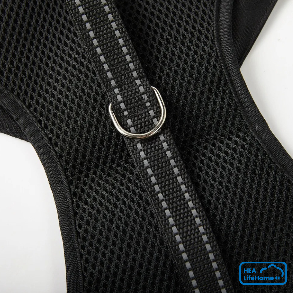 Arnés Smoking para Perros - Imagen 2