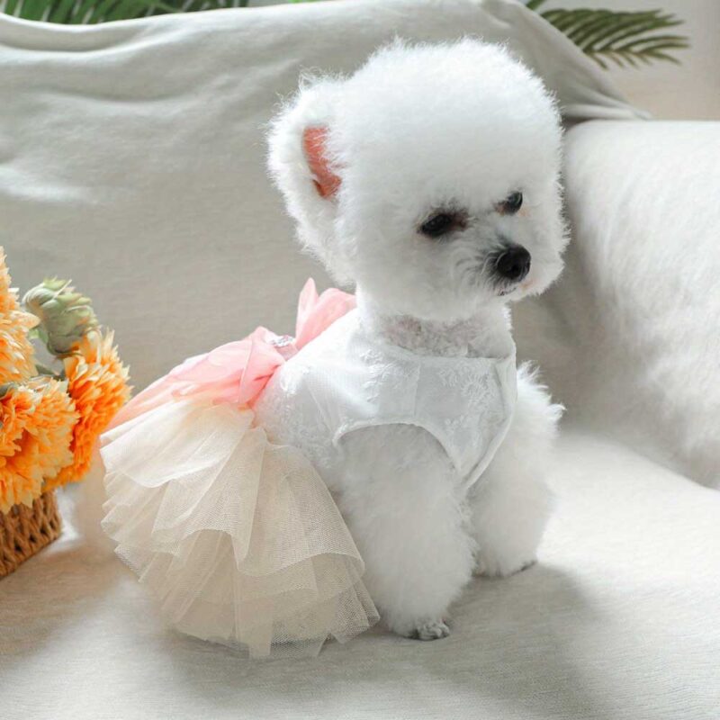 Arnés vestido blanco para hembras